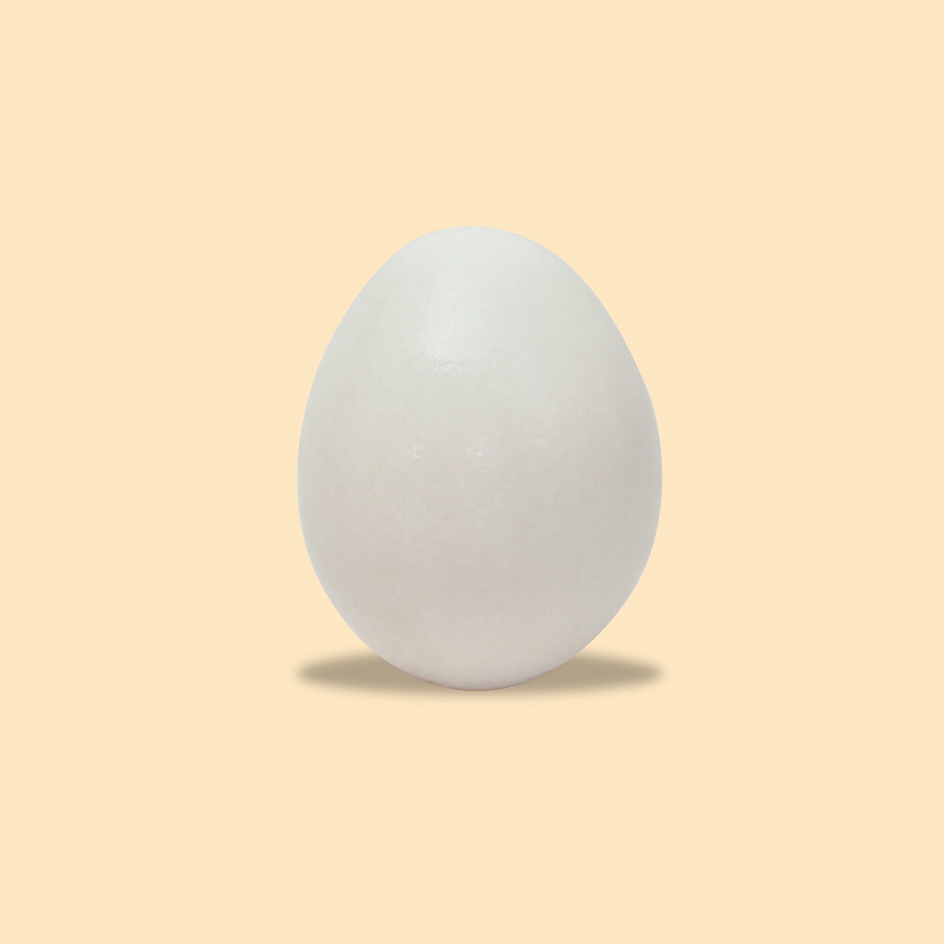 Fresh white extra large egg on peach background with soft shadow, perfect oval shape and smooth shell