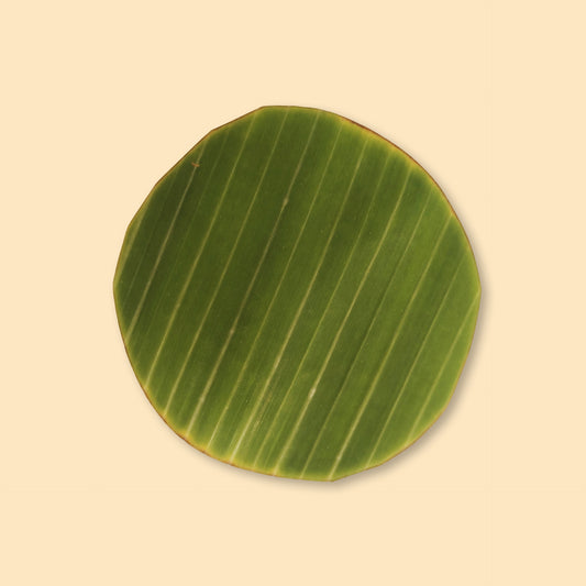 Fresh round banana leaves 300s bundle showing vibrant green color and natural parallel veining pattern